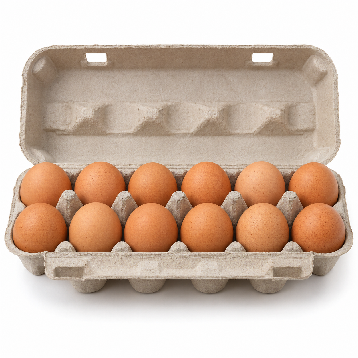 Ovos — bandeja com 12 unidades